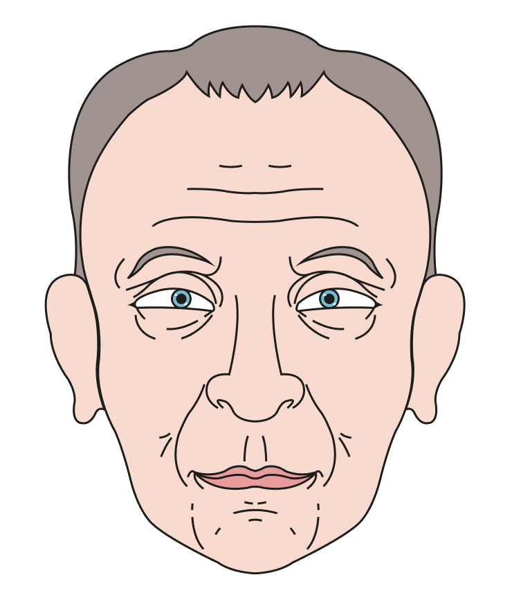 illustration du visage d'Henri Salmide